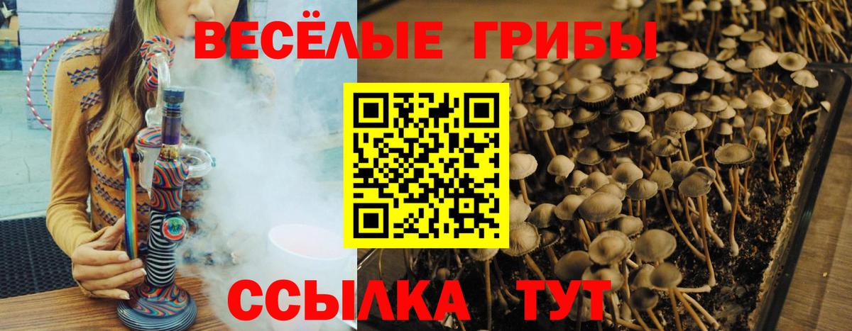 Галлюциногенные грибы GOLDEN TEACHER Боровичи